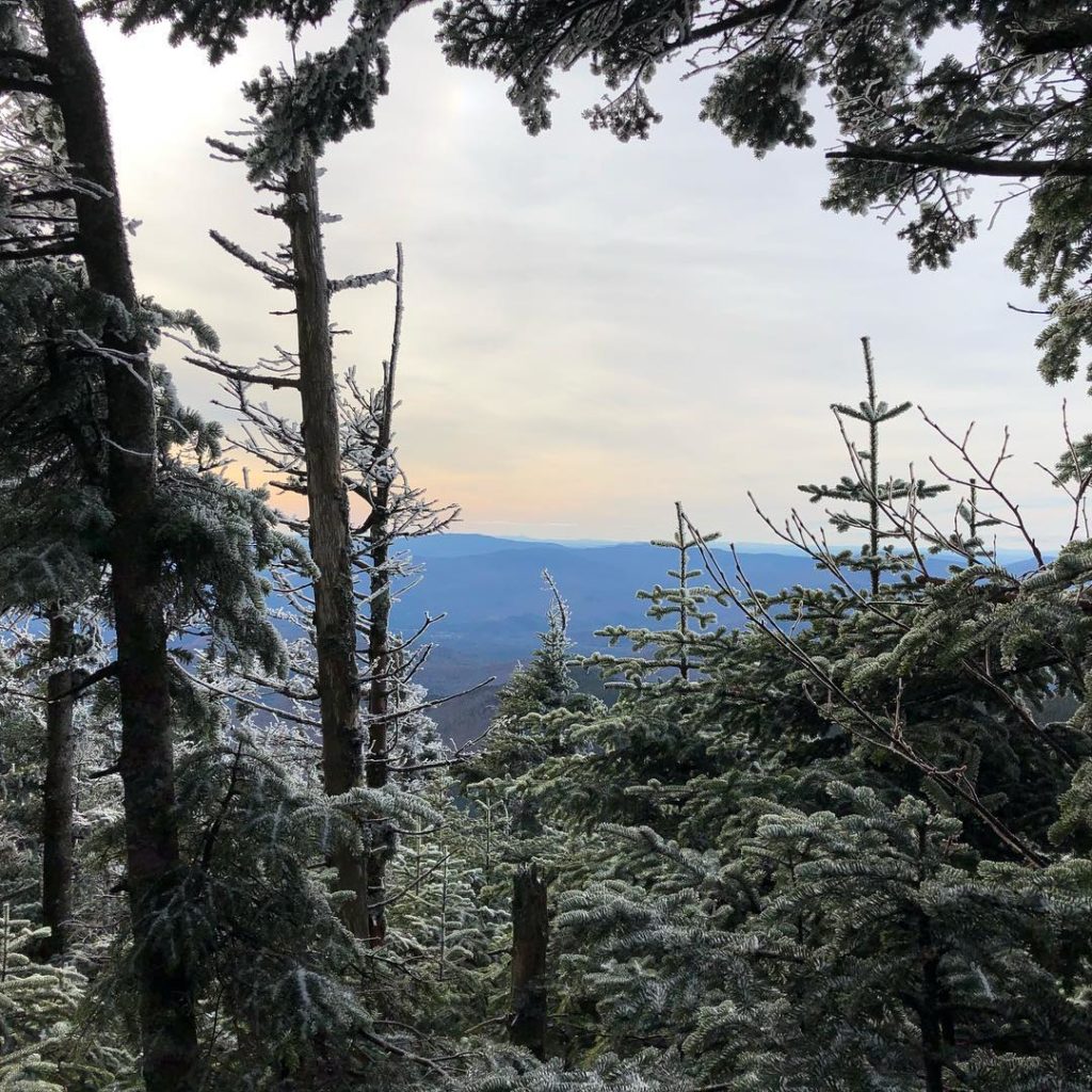 4 Ways Nature's Magic is Good for Business & Soul