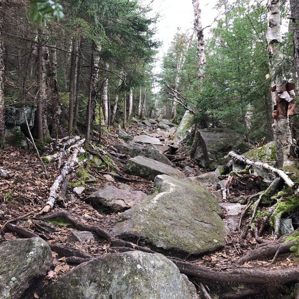 4 Ways Nature's Magic is Good for Business & Soul